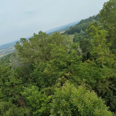 Il Balcone Di Napoleone 招待所 Narzole