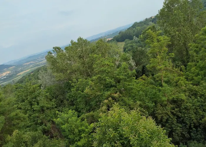 Il Balcone Di Napoleone Pensión Narzole